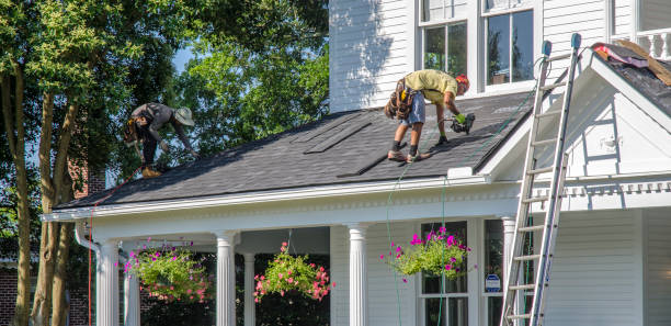 Best Roof Gutter Cleaning  in Ambler, PA