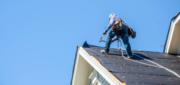 Best Gutter Installation and Roofing  in Ambler, PA
